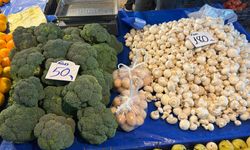 Biga Çarşamba Pazarı Fiyat Raporu