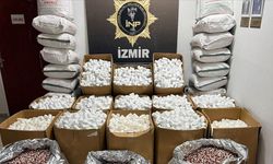2 Milyon 309 Bin 774 Uyuşturucu Hap Ele Geçirildi