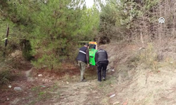 29 yaşındaki genç ormanlık alanda ölü bulundu