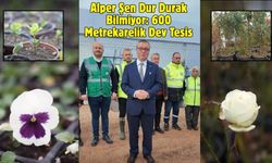 Alper Şen Dur Durak Bilmiyor: 600 Metrekarelik Dev Tesis
