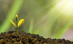 Yerel yönetimlere yaklaşık 96 milyar liralık çevre desteği