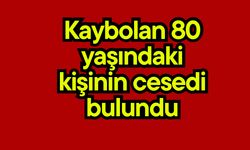 Kaybolan 80 yaşındaki kişinin cansız bedeni bulundu