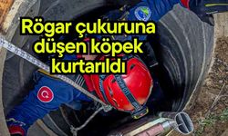 Rögar çukuruna düşen köpek kurtarıldı