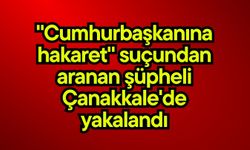 "Cumhurbaşkanına hakaret" suçundan aranan şüpheli Çanakkale'de yakalandı