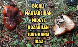 Bigalı mantarcıdan mideyi bozabilen türe karşı ikaz