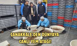 Çanakkale’den dünyaya canlı yem atağı!