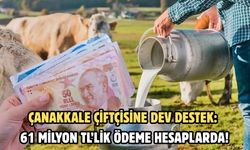 Çanakkale çiftçisine dev destek: 61 milyon TL’lik ödeme hesaplarda!