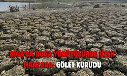 Biga’da doğa yürüyüşünde üzen manzara: Gölet kurudu