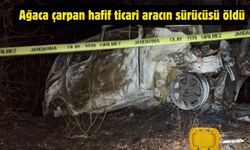 Ağaca çarpan hafif ticari aracın sürücüsü öldü