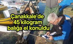 Çanakkale'de 45 kilogram balığa el konuldu