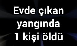 Evde çıkan yangında 1 kişi öldü