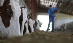 Besilik materyal üretiminin artırılması için protokol imzalandı