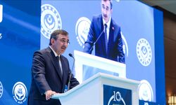 "Genç ve dinamik nüfus ülkenin rekabet gücünü artıran stratejik bir değerdir"