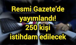 Resmi Gazete’de yayımlandı! 250 kişi istihdam edilecek