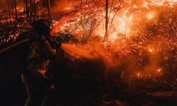 350 bin hektardan fazla ormanlık alan yandı