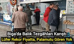Biga’da Balık Tezgâhları Karıştı: Lüfer Rekor Fiyata, Palamutu Gören Yok