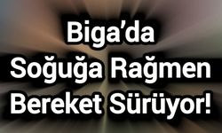 Biga’da Soğuğa Rağmen Bereket Sürüyor!