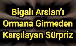 Bigalı Arslan’ı Ormana Girmeden Karşılayan Sürpriz