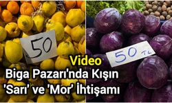 Biga Pazarı'nda Kışın 'Sarı' ve 'Mor' İhtişamı