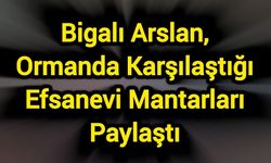 Bigalı Arslan, Ormanda Karşılaştığı Efsanevi Mantarları Paylaştı