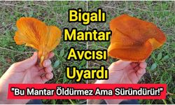 Bigalı Mantar Avcısı Uyardı: "Bu Mantar Öldürmez Ama Süründürür!"