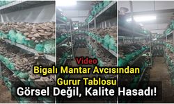 Bigalı Mantar Avcısından Gurur Tablosu: Görsel Değil, Kalite Hasadı!