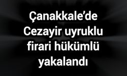 Çanakkale’de Cezayir uyruklu firari hükümlü yakalandı