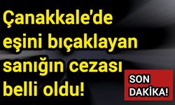 Çanakkale'de eşini bıçaklayan sanığın cezası belli oldu!