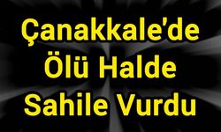 Çanakkale'de Ölü Halde Sahile Vurdu