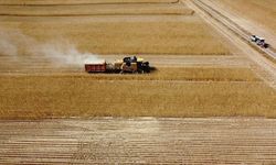 Çiftçilere bugün tarımsal destekleme ödemesi yapılacak