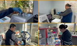 Domatesle Yenilebilir Aşı Üretimi Hedefleniyor