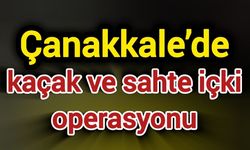 Çanakkale’de kaçak ve sahte içki operasyonu