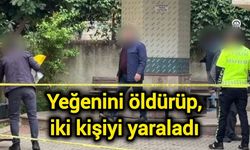 Yeğenini öldürüp, iki kişiyi yaraladı