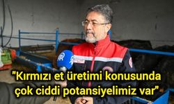 Yumaklı: Kırmızı et üretimi konusunda çok ciddi potansiyelimiz var