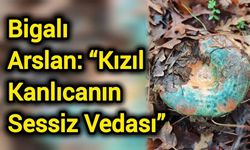 Bigalı Arslan: “Kızıl Kanlıcanın Sessiz Vedası”