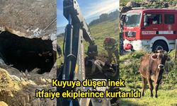 Kuyuya düşen inek itfaiye ekiplerince kurtarıldı