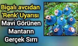 Bigalı avcıdan 'Renk' Uyarısı: Mavi Görünen Mantarın Gerçek Sırrı