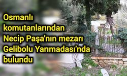 Osmanlı komutanlarından Necip Paşa'nın mezarı Gelibolu Yarımadası'nda bulundu