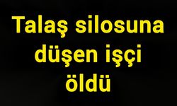 Talaş silosuna düşen işçi öldü