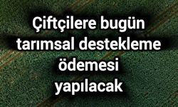 Çiftçilere bugün tarımsal destekleme ödemesi yapılacak