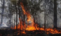 1 itfaiyeci öldü, 39 ev küle döndü