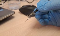 Yapay zeka destekli glikoz biyosensörü