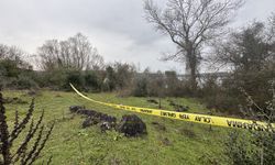 Kayıp olarak aranan kişinin cesedi göl kenarında bulundu