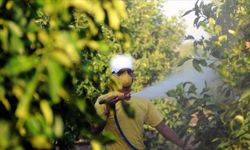 5 soruda tarımda "B-Reçete" uygulaması