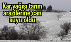Kar yağışı tarım arazilerine can suyu oldu