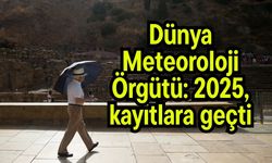 Dünya Meteoroloji Örgütü: 2025, kayıtlara geçti