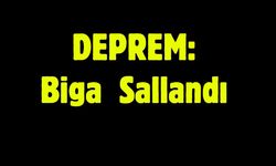 Deprem: Biga Sallandı