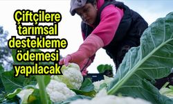 Çiftçilere tarımsal destekleme ödemesi yapılacak