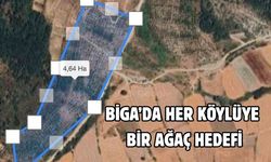 Çanakkale Biga’da her köylüye bir ağaç hedefi