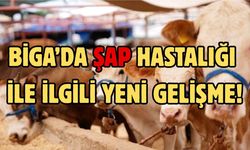Biga’da hayvancılık nefes aldı